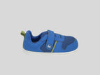 Blue/ Green