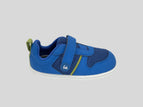 Blue/ Green