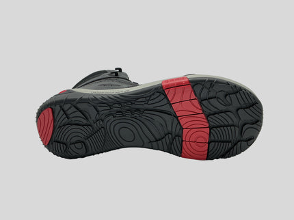 Pegasus S3S