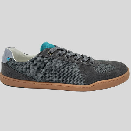 BLSN-204M