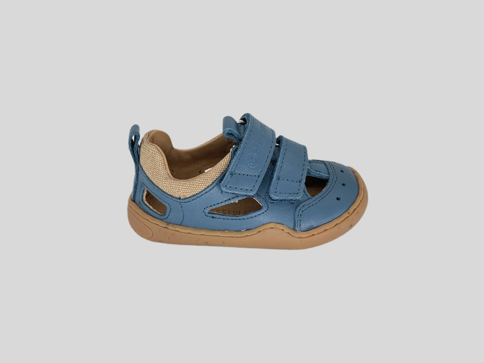 kammmolchSTYLE