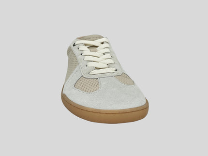 BLSN-205W