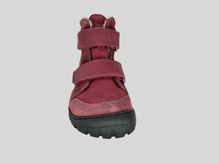 Milo 3.0 Hydro WP