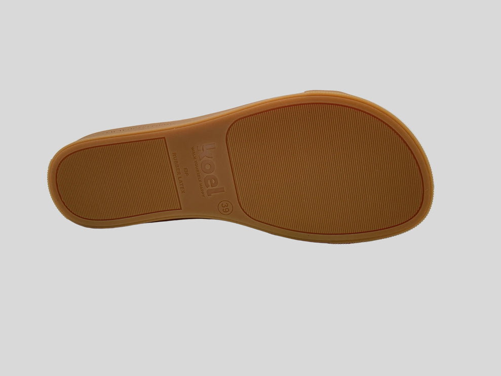 Hazel Canvas